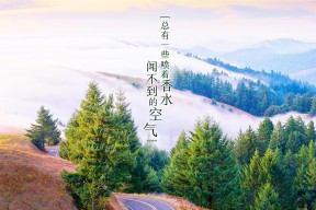 爱游戏体育平台-世界水球冠军杯：水中角逐的激烈竞争，水球冠军赛