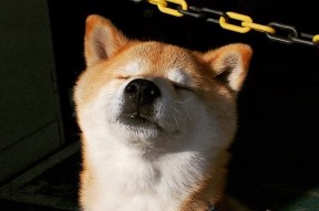 爱游戏智能体验-“足坛新规：VAR技术应用在中国联赛”，中国足球var技术