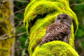 爱游戏官网首页-“英超高手云集，战火不断升级”，英超超级球星