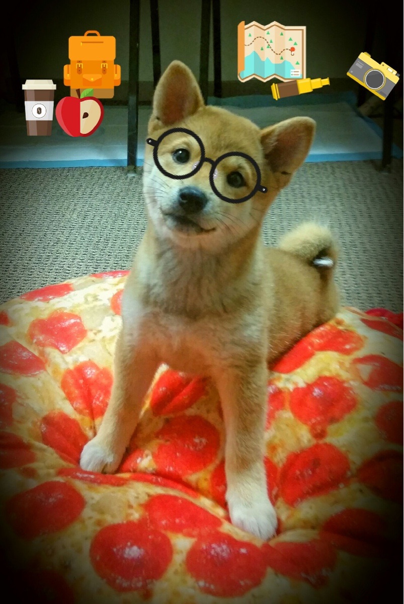 【规则大揭密】误判、争议判罚如何影响比赛结果?,如果裁判误判怎么办